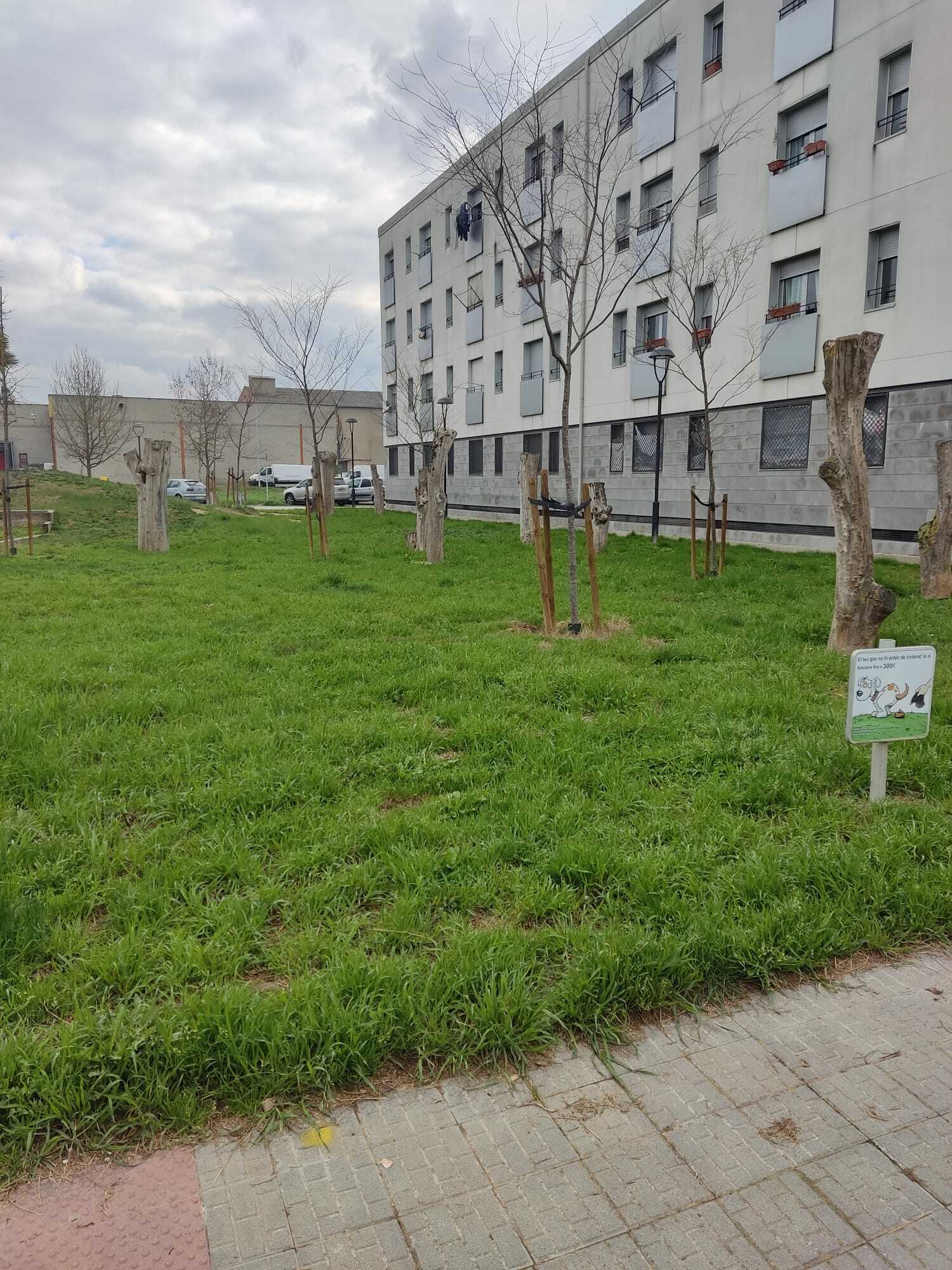 Imatge pels mitjans: Instal·lació d'un parc per a mascotes estil com el que hi ha en el Passeig del Ter.